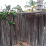 Fence repaired